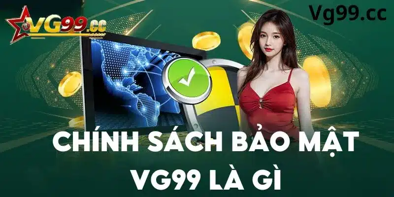 Tổng quan về chính sách bảo mật Vg99