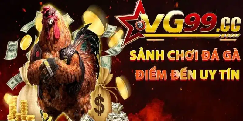 Chi tiết về sảnh đá gà Vg99 có gì đặc biệt